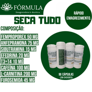 Seca Tudo 90caps/30 doses